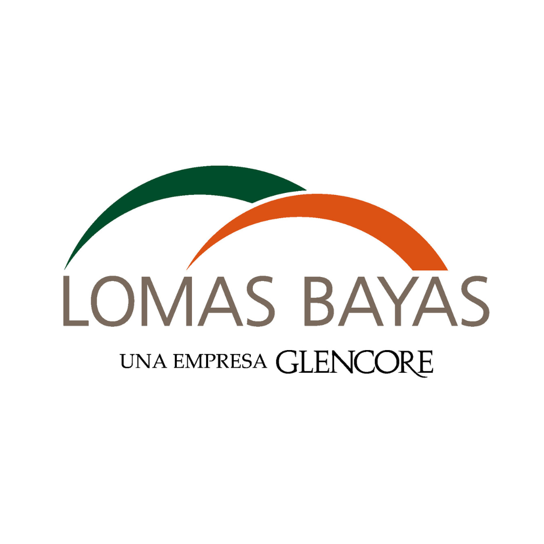 Logo 6
